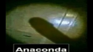 Приключения мужика на унитазе!