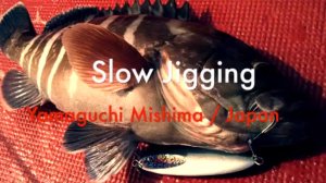 Slow Jigging 2016見島の夏