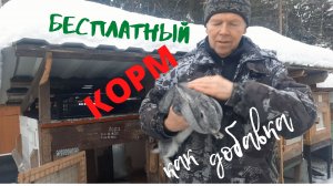 Бесплатный корм для кроликов.