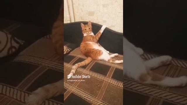 Тебе удобно?