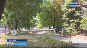 Сыпной тиф, туляремия, эрлихиоз, болезнь Лайма, геморрагическая и пятнистая лихорадки