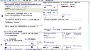 29. Internet сервисы в MD Declaration