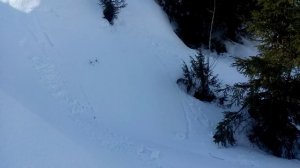 снегоход с двигателем иж планета 5