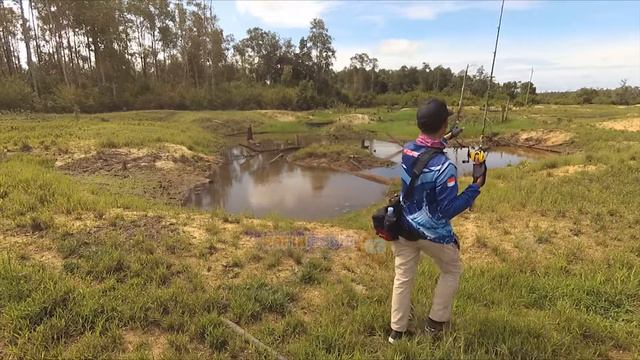 BEKAS GALIAN TAMBANG.! emas masyarakat disni spot idaman mancing ikan gabus | Rafik Media Mancing смотреть онлайн
