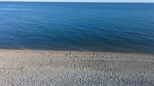 Май! Море! Гудаута!!! (4)