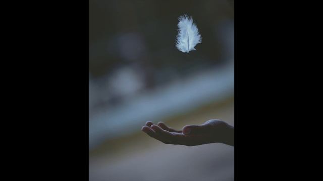 Медитация Покоя