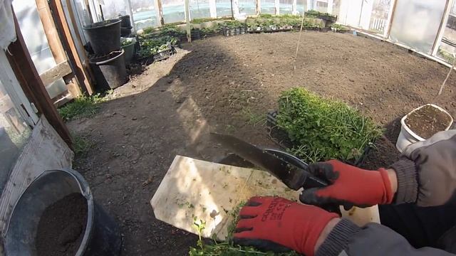 Ваши куры не станут расклёвывать яйца. смотреть онлайн