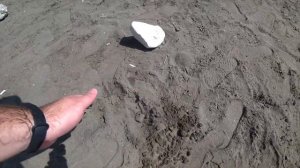 ФАЗЕЛИС - древний ликийский город | Фазелис, Турция | Пляж Фазелис | КЕМЕР 2022