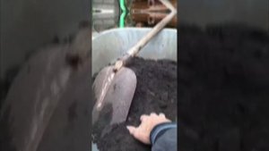 Тропинка из дубовых пеньков в теплицу!