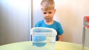 игрушки растущие в воде инопланетянин яйцо игрушка вылупляется на TUMANOV FAMILY