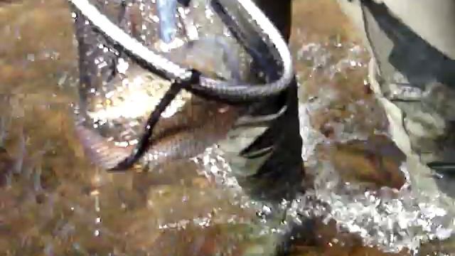 Рыбалка на реке Турка 27.09.08 смотреть онлайн