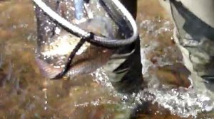 Рыбалка на реке Турка 27.09.08