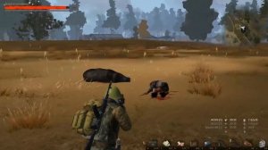 35. ОБТ Сталкер Онлайн. Изучаю Север Черного Леса.