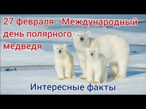 Белый медведь. 27 февраля международный день белого медведя. Интересные факты