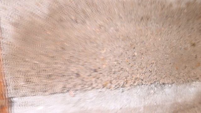 ЧЕРНОВАЯ СТЯЖКА ПОЛА ИЗ ОПИЛКОБЕТОНА!!! Спустя три года.