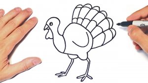 Как нарисовать индюка | How to draw a turkey