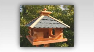 КОРМУШКИ ДЛЯ ПТИЦ СВОИМИ РУКАМИ  ОРИГИНАЛЬНЫЕ ИДЕИ