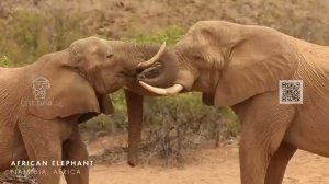 станислав топилов - ещё ещё ещё (кавер на гр. «Диктофон»)