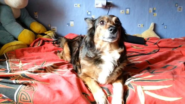 Утомленное солнце смотреть онлайн