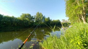 Рыбалка на отводной поводок. Странная рыбалка.