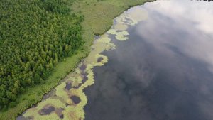 Озеро Нерское. Красивейший и сложно доступный к посещению природный водоем озерной группы.