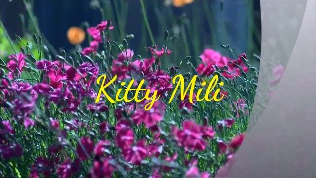 Заставка моего канала 2. смотреть онлайн