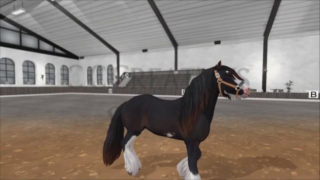 Новые масти ЛОШАДЕЙ в Star Stable | Спойлеры | Коннемара, Финхорс, Фриз, Марвари...