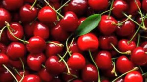 Чем полезная черешня - её свойства