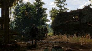 The Witcher 3-Contract:Devil by the Well