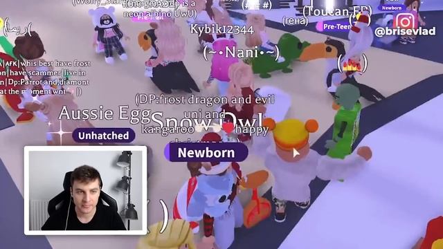 СПЕШИ! КАК ПОЛУЧИТЬ FROST FURY Дракона БЕСПЛАТНО в Адопт Ми Роблокс? Фрост Adopt Me Roblox Брайс смотреть онлайн