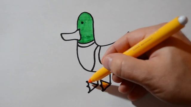 EASY DRAWINGS for kids: mallard wild duck, как нарисовать дикую утку, come disegnare un germano смотреть онлайн