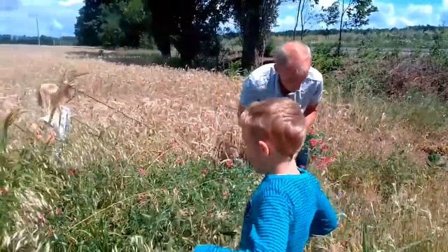 В поисках речки Так растут гречка и подсолнух, красотень вокруг. смотреть онлайн