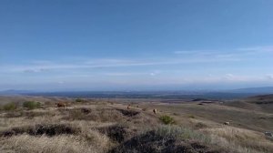 Толстой-юрт за перевалом из Грозного, сентябрь 2019 | туризм в Чечне