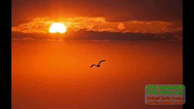 Нас бьют, мы летаем!.mp4 смотреть онлайн