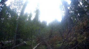 Поход к озеру Банзай. Тропа к подножию горы Борус. Хакасия