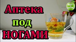 От ВСЕХ БОЛЕЗНЕЙ. Бабушка рассказала на рынке что пьет, и не болеет.mp4