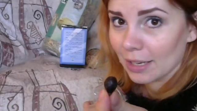 Шиншиллы: Мой злой гений Масяня