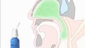 ИРС 19 + Имудон