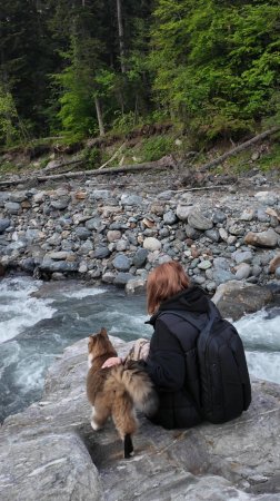 Кот Плюха оценивает горы.🐱🏔️