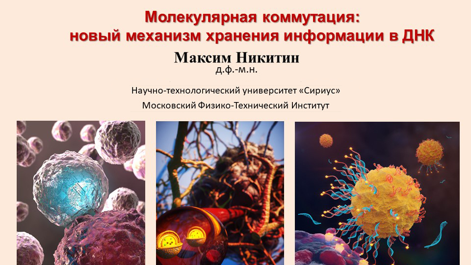 Молекулярная коммутация: новый механизм хранения информации в ДНК. 
Максим Никитин — д.ф.-м.н.