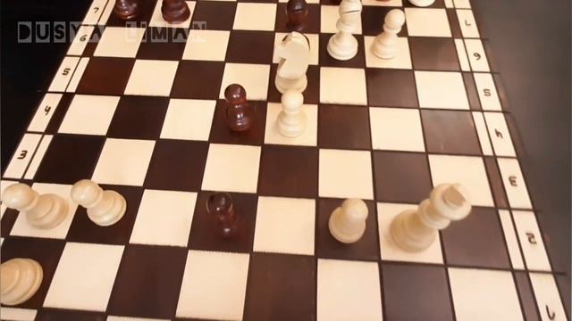 Выпуск 10. Задачи. Комбинации. Шахматы. Chess. Шах и мат смотреть онлайн