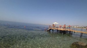 Египет ❗️Reef oasis blue bay 🇪🇬 Обзор пляжа часть 2