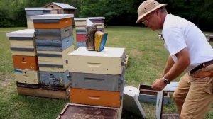 Как подкармливать пчел? 4 способа подкормки пчел (Университет г.Гвелф, Канада)