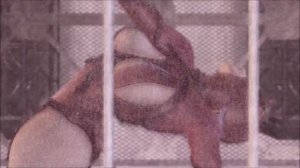 Rumble Roses XX - Evil Rose Entrance