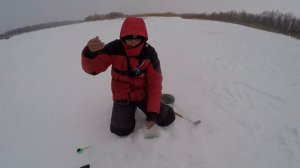 Толпа багрит КРУПНОГО САЗАНА! ЗАПРЕЩЕННАЯ РЫБАЛКА!