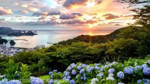 Приехав из командировки пораньше, Ева подошла к двери и услышала разговор мужа по телефону...