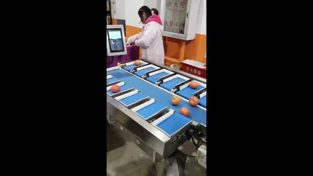 Весовой линейный дозатор для овощей, фруктов на видео помидоры и грибы. Аналог мультиголовки