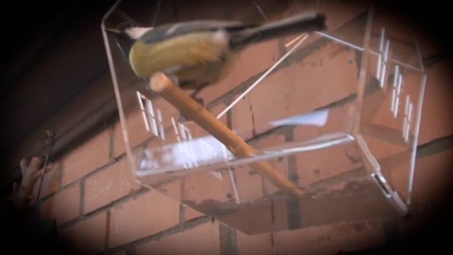 Кормушка для птиц. Лазерная резка смотреть онлайн