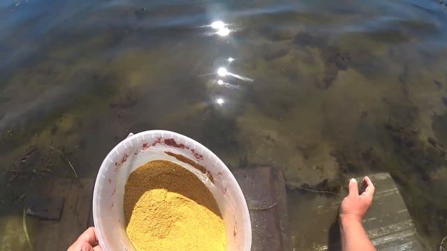 РЫБАЛКА на РЕКЕ нашел речку где сазана больше чем карася)ФИДЕР смотреть онлайн