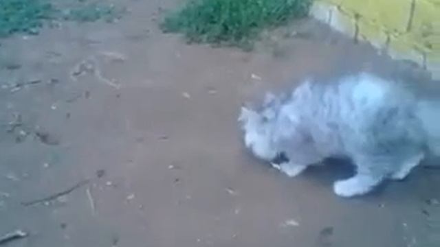 жизнь Тимы смотреть онлайн